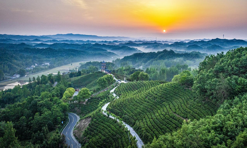 黑子”的二十年“共富”笔记不朽情缘两座山一条路!“闵(图4) 黑子”的二十年“共富”笔记不朽情缘两座山一条路!“闵(图4)