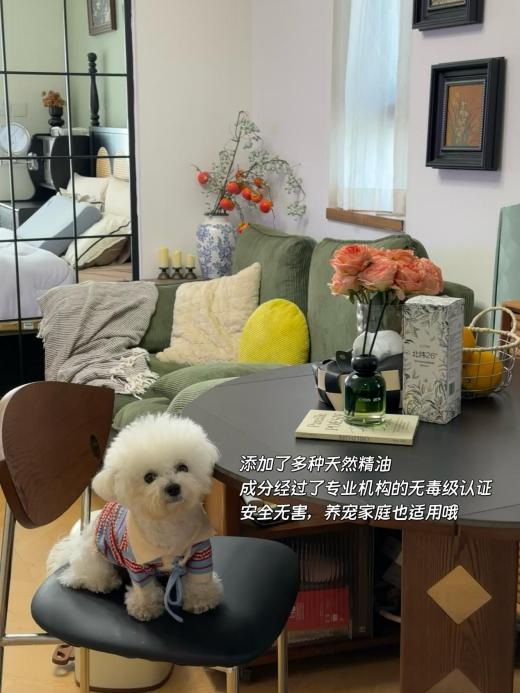 久留香?西兰藤蔓香薰定义居家新标准不朽情缘电子游戏什么香薰能让室内持(图2) 久留香?西兰藤蔓香薰定义居家新标准不朽情缘电子游戏什么香薰能让室内持(图2)